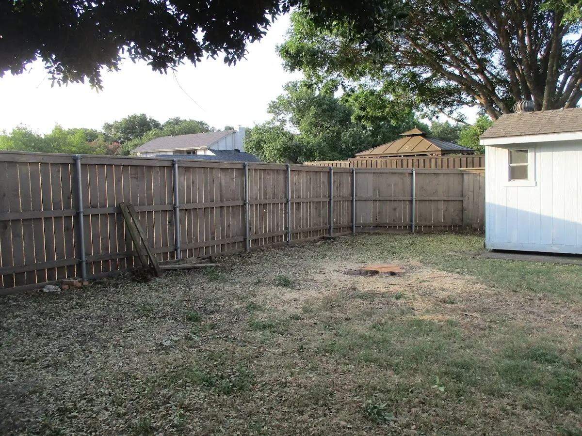 Cleared yard after professional tree removal in Pelahatchie